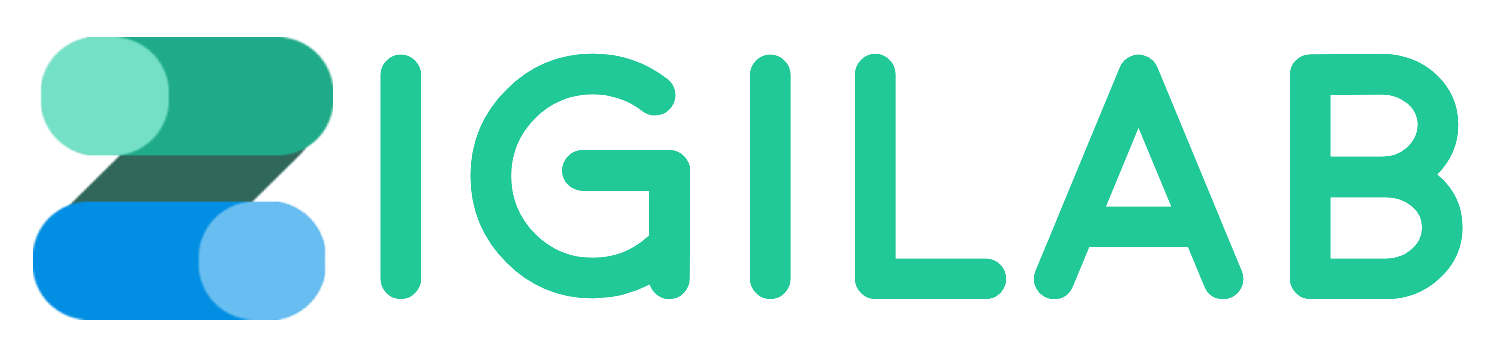 ZigiSoft
